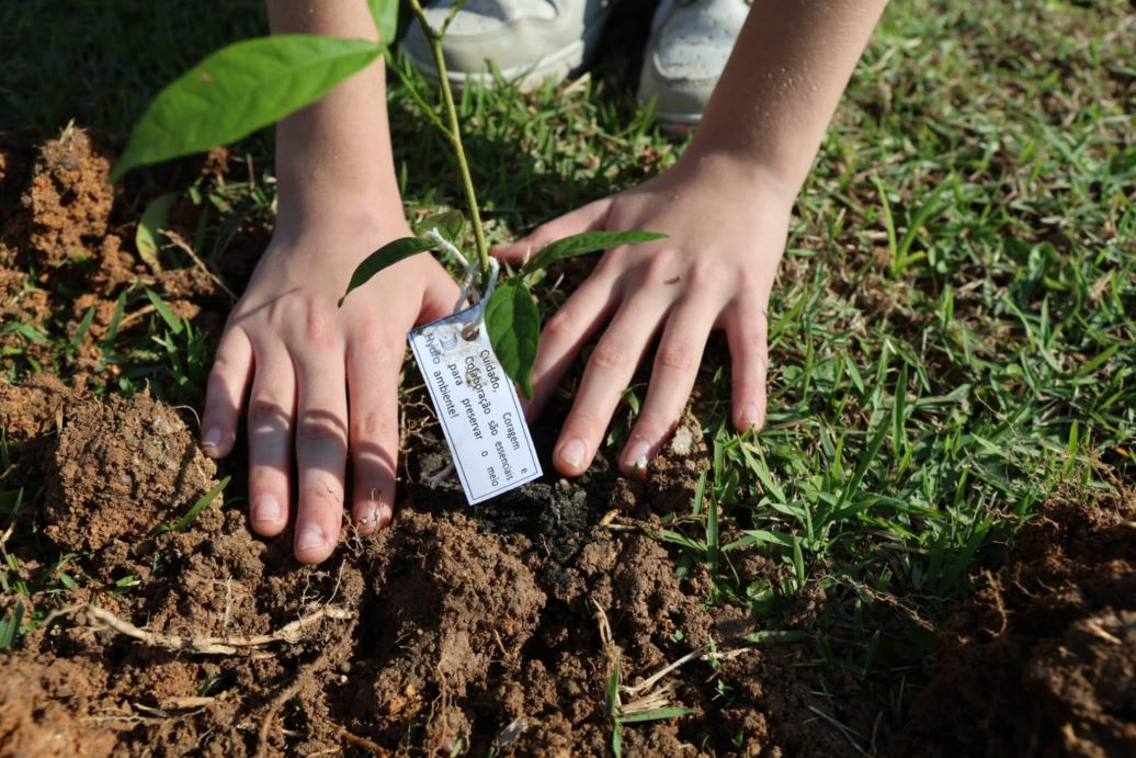 a person holding a small plant