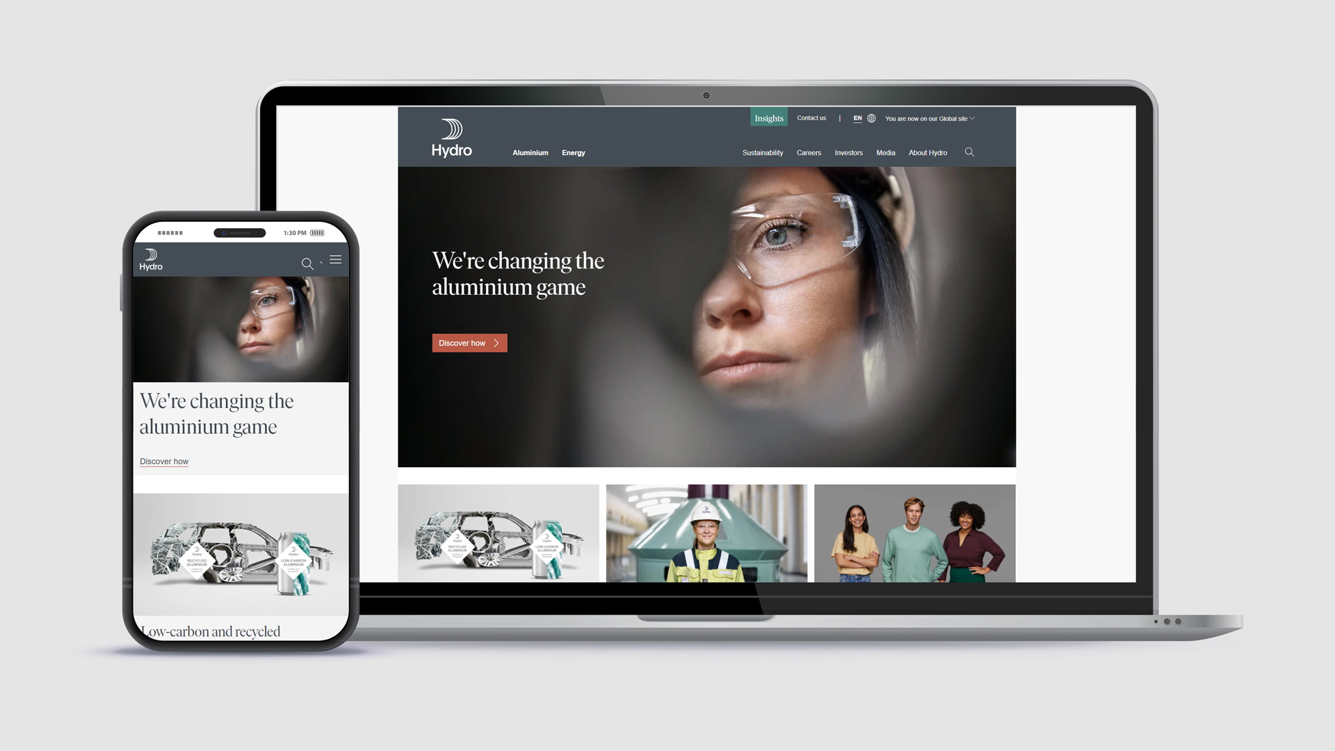 graphical user interface, website